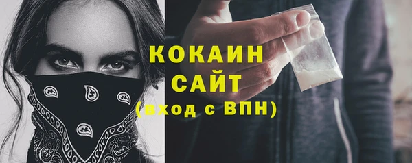 прущие грибы Михайловск