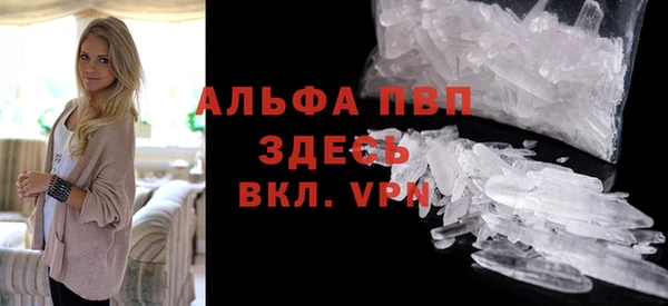 прущие грибы Михайловск