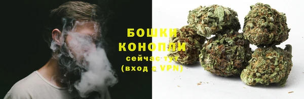 прущие грибы Михайловск