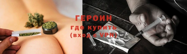 прущие грибы Михайловск
