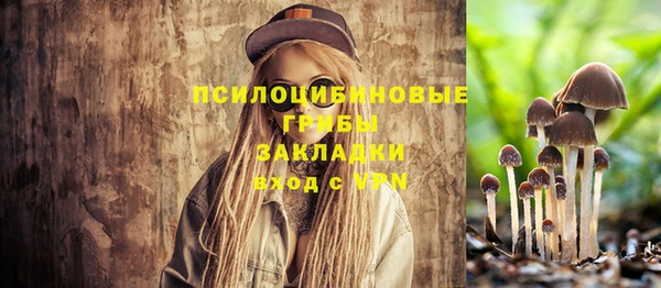 МДМА Михайлов