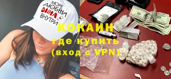 прущие грибы Михайловск