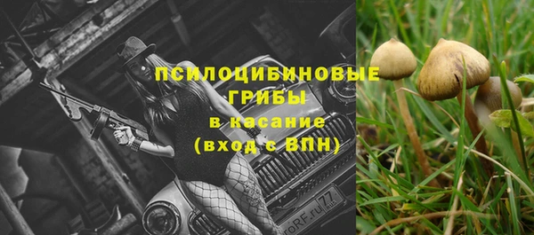 прущие грибы Михайловск