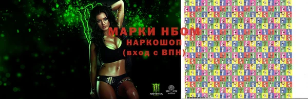 прущие грибы Михайловск