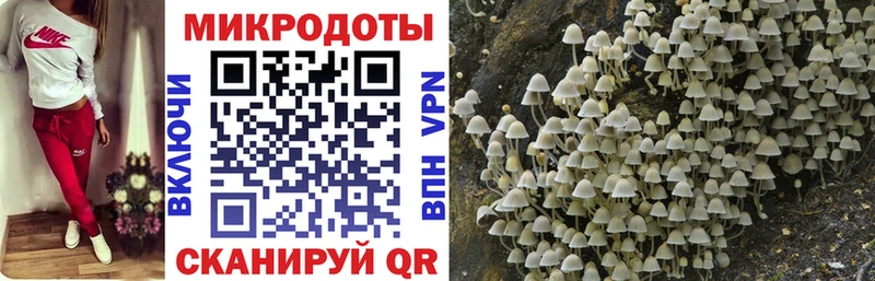 omg зеркало  Почеп  Галлюциногенные грибы MAGIC MUSHROOMS 